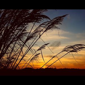 Meet your Posher, Sherry